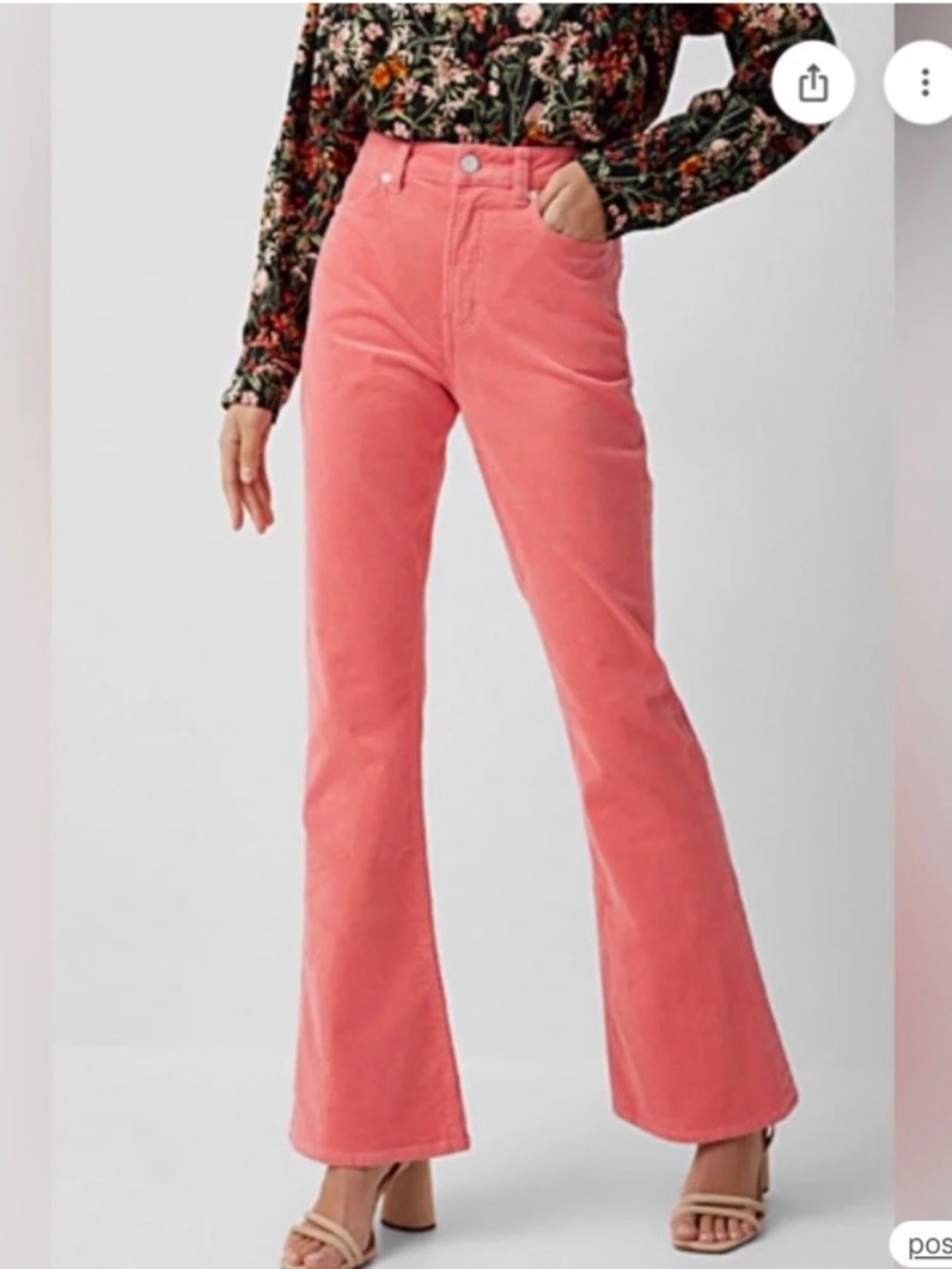Scotch And Soda Violet High Rise Flare Pink Pants